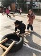 人气：300  上传时间：2019/3/7 13:35:22