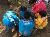 人气：284  上传时间：2019/3/8 14:51:58