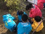 人气：311  上传时间：2019/3/8 14:51:59
