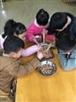 人气：302  上传时间：2019/3/8 14:53:10