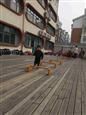 人气：584  上传时间：2019/3/8 17:27:14