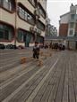 人气：514  上传时间：2019/3/8 17:27:34