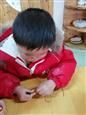 人气：533  上传时间：2019/3/8 12:22:36
