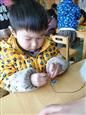 人气：466  上传时间：2019/3/8 12:22:37