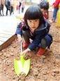 人气：505  上传时间：2019/3/13 16:52:56