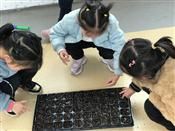 人气：276  上传时间：2019/3/15 14:14:55