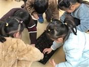 人气：284  上传时间：2019/3/15 14:14:56
