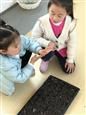 人气：275  上传时间：2019/3/15 14:14:59