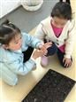人气：257  上传时间：2019/3/15 14:15:00