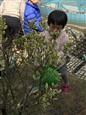人气：271  上传时间：2019/3/15 14:17:24