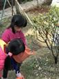 人气：315  上传时间：2019/3/15 14:17:26
