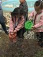 人气：287  上传时间：2019/3/15 14:17:30