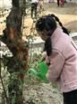 人气：279  上传时间：2019/3/15 14:17:30