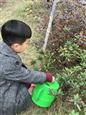 人气：299  上传时间：2019/3/15 14:17:32