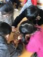 人气：300  上传时间：2019/3/15 14:20:05