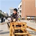 人气：480  上传时间：2019/3/15 15:00:59