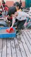 人气：475  上传时间：2019/3/15 7:57:16
