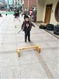 人气：509  上传时间：2019/3/15 10:47:24