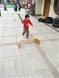 人气：468  上传时间：2019/3/15 10:47:37