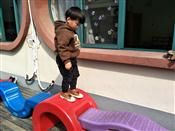 人气：498  上传时间：2019/3/15 10:49:25