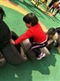 人气：493  上传时间：2019/3/15 10:50:48