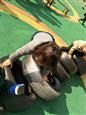 人气：507  上传时间：2019/3/15 10:50:59