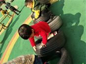 人气：508  上传时间：2019/3/15 10:51:07