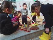 人气：508  上传时间：2019/3/21 13:35:14