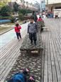 人气：535  上传时间：2019/3/21 15:22:28