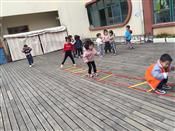 人气：483  上传时间：2019/3/21 15:22:39