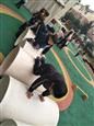 人气：545  上传时间：2019/3/21 8:04:42