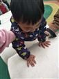 人气：524  上传时间：2019/3/21 8:04:43