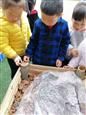 人气：522  上传时间：2019/3/22 16:54:22