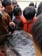 人气：546  上传时间：2019/3/22 16:54:23