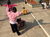 人气：264  上传时间：2019/3/22 11:55:26