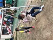 人气：353  上传时间：2019/3/22 12:15:43
