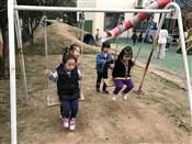 人气：283  上传时间：2019/3/22 12:16:26