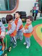 人气：515  上传时间：2019/3/27 13:03:17
