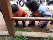 人气：463  上传时间：2019/3/27 12:36:01