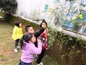 人气：514  上传时间：2019/3/27 12:36:03