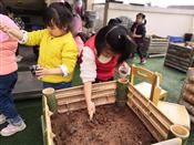 人气：521  上传时间：2019/3/27 12:36:03