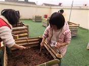 人气：493  上传时间：2019/3/27 12:36:04