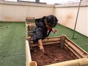 人气：485  上传时间：2019/3/27 12:36:05