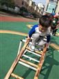 人气：489  上传时间：2019/3/28 7:56:45