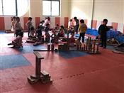 人气：529  上传时间：2019/3/29 7:40:16