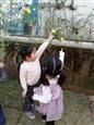 人气：538  上传时间：2019/3/29 7:41:26