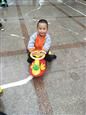 人气：545  上传时间：2019/3/29 7:57:39