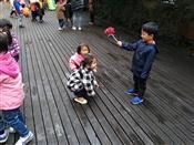 人气：488  上传时间：2019/3/29 8:02:11