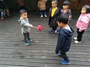 人气：519  上传时间：2019/3/29 8:02:14