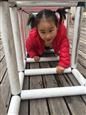 人气：485  上传时间：2019/3/29 10:44:55